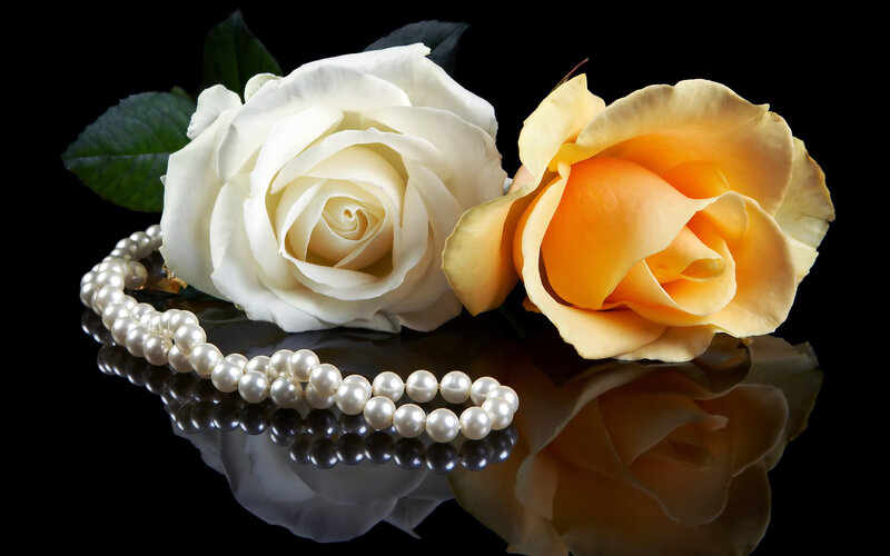 White and Yellow Roses — Black