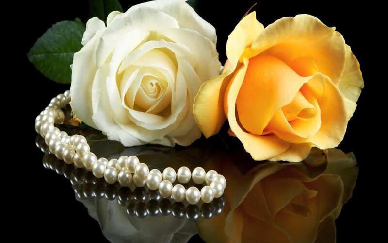White and Yellow Roses — Serene, Photograph, Pearl Necklace