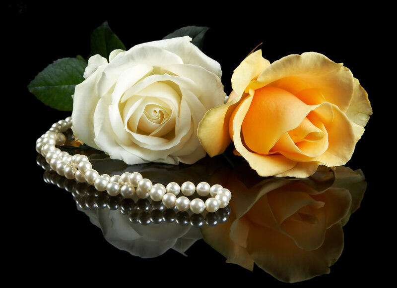 White and Yellow Roses — Serene