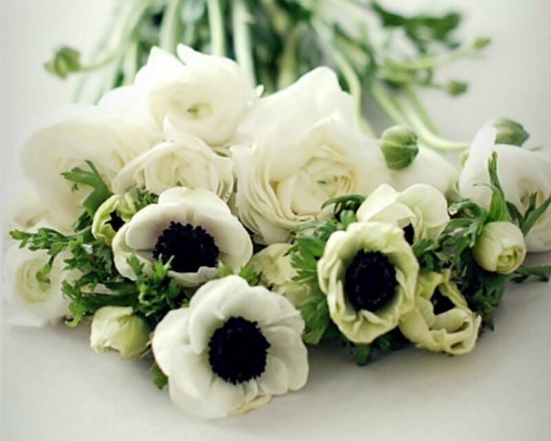 White Anemone Bouquet — Calm