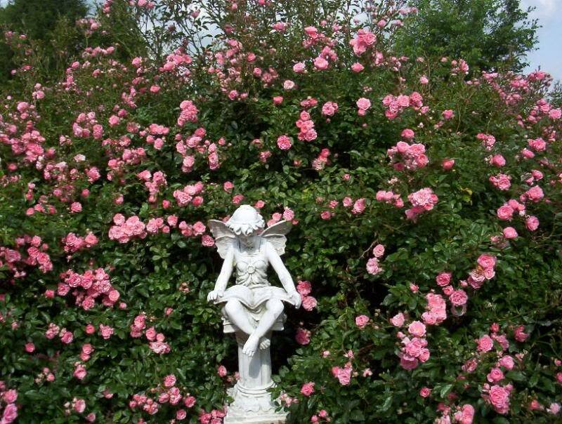 White Angel Statue — Pink