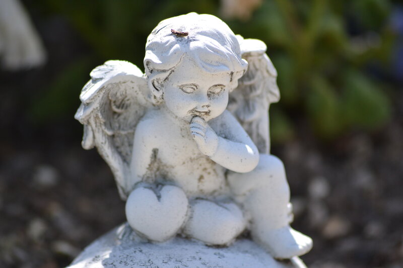 White Angel Statue — Serene, Afternoon, Photograph