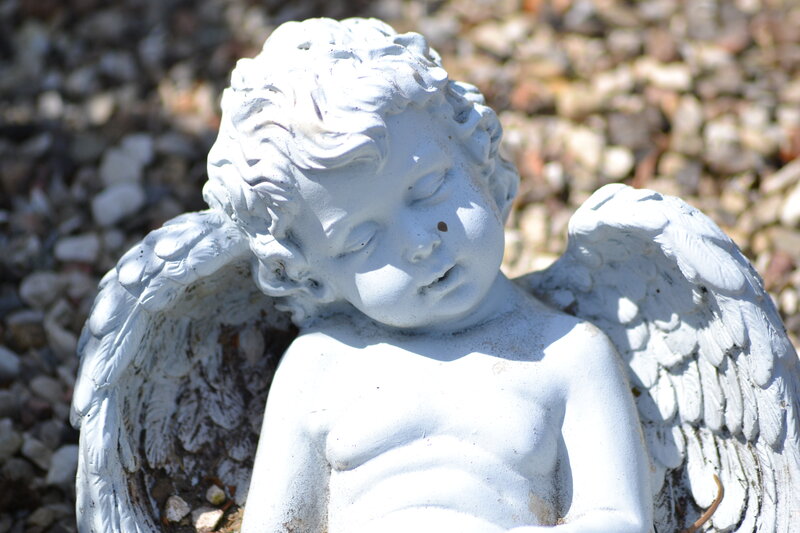 White Angel Statue — Serene, Afternoon