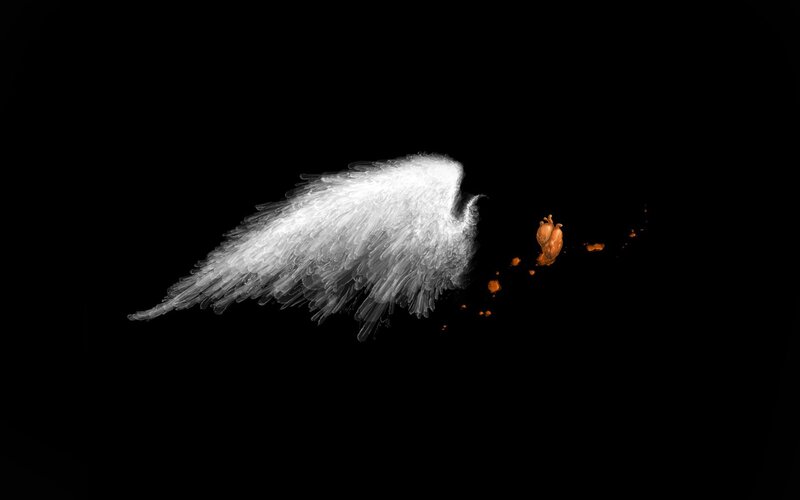 White Angel Wing