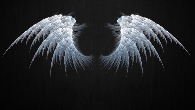 White Angel Wings — Black, Dramatic