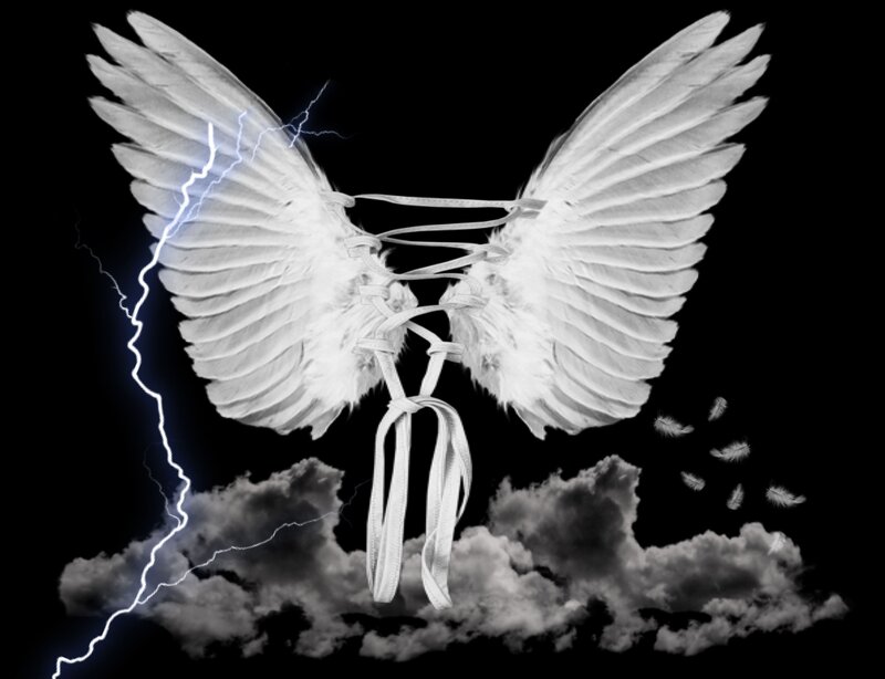 White Angel Wings — Black