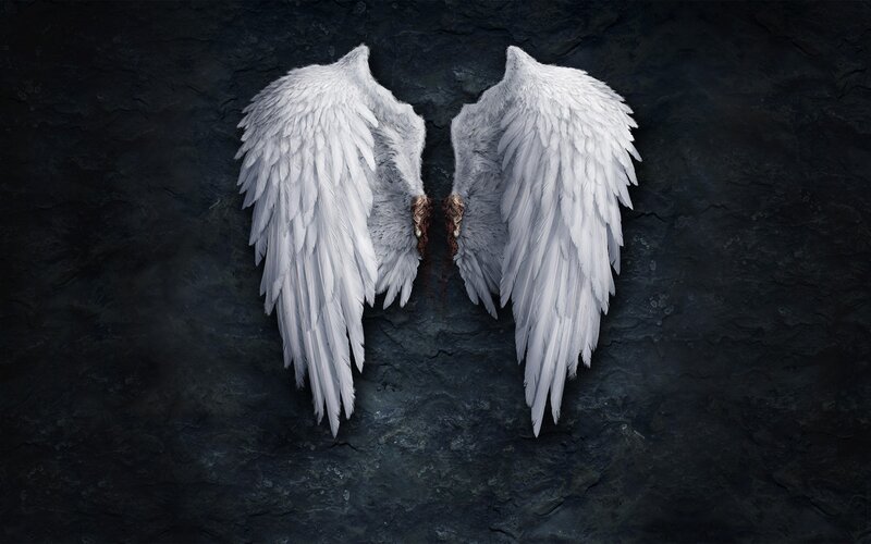 White Angel Wings — Dramatic, Digital Art, Dark Wall