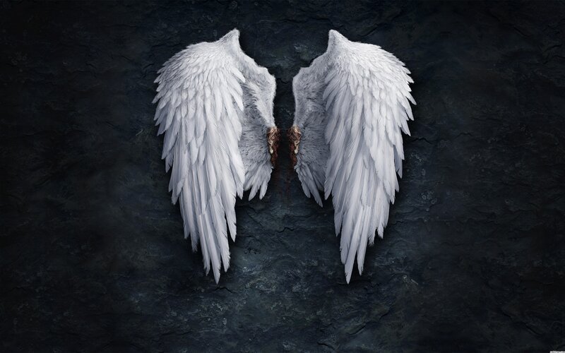 White Angel Wings — Dramatic, Digital Art