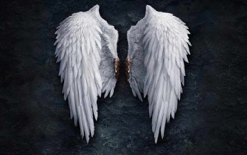 White Angel Wings — Dramatic