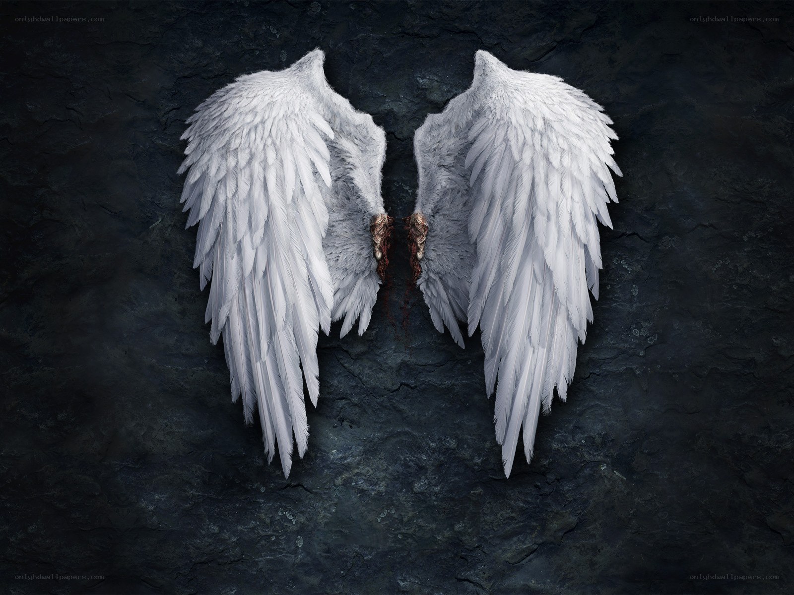 White angel wings on dark stone