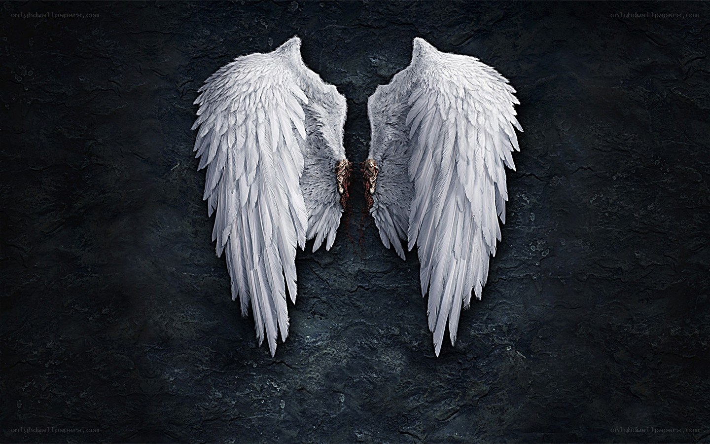 white angel wings on dark wall