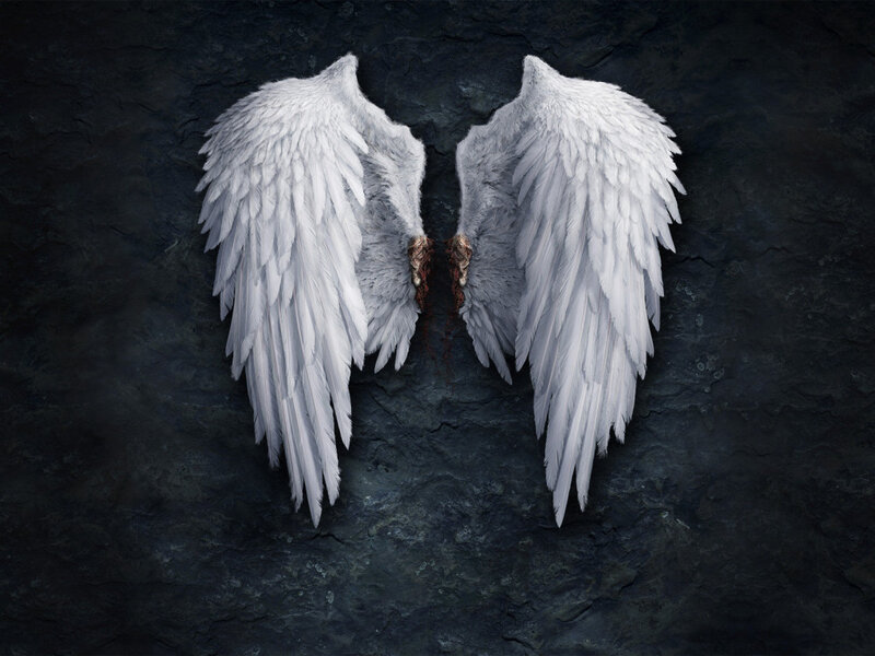 white angel wings on stone