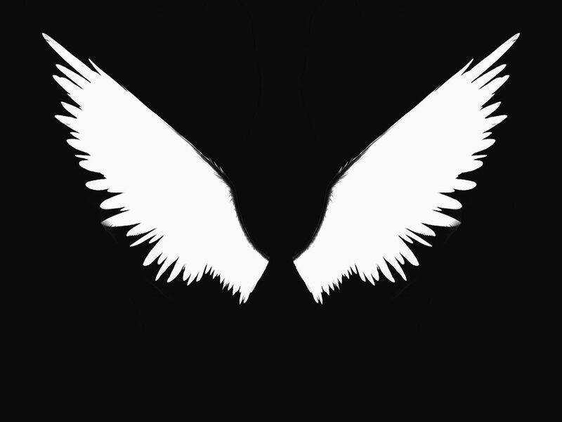 white angel wings