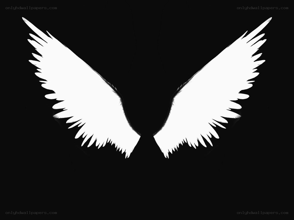 white angel wings