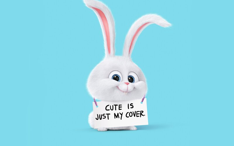 White Animated Rabbit