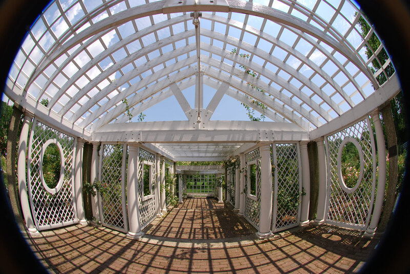 White Arbor in Garden