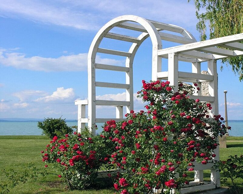 White arbor with red roses by the lake