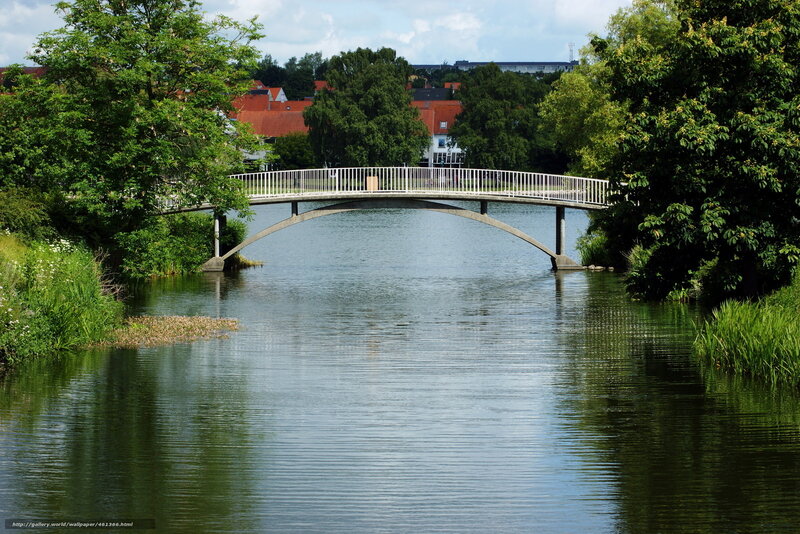 White Arched Bridge — Green, Serene, Afternoon, Photograph