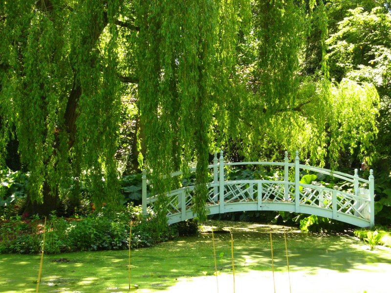 White Arched Bridge — Green, Serene, Afternoon