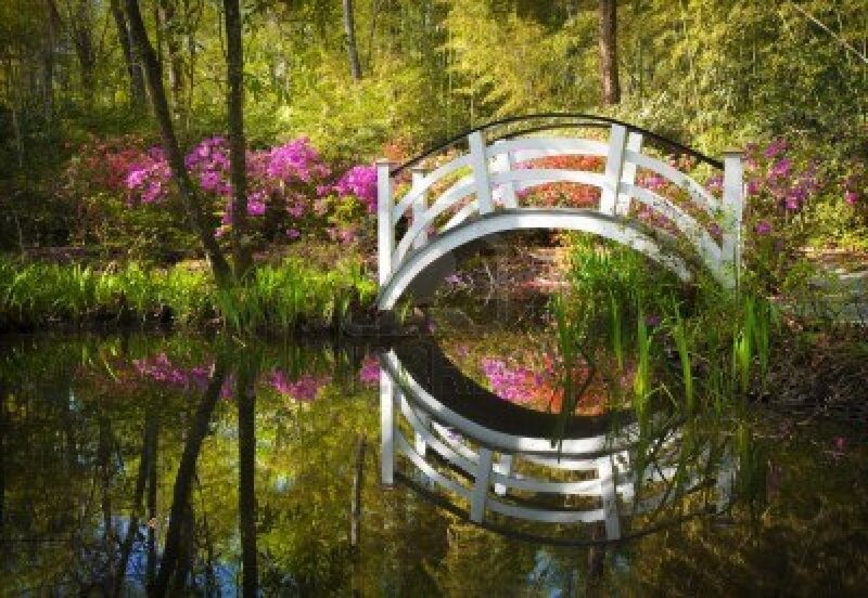 White Arched Bridge — Green, Serene, Spring