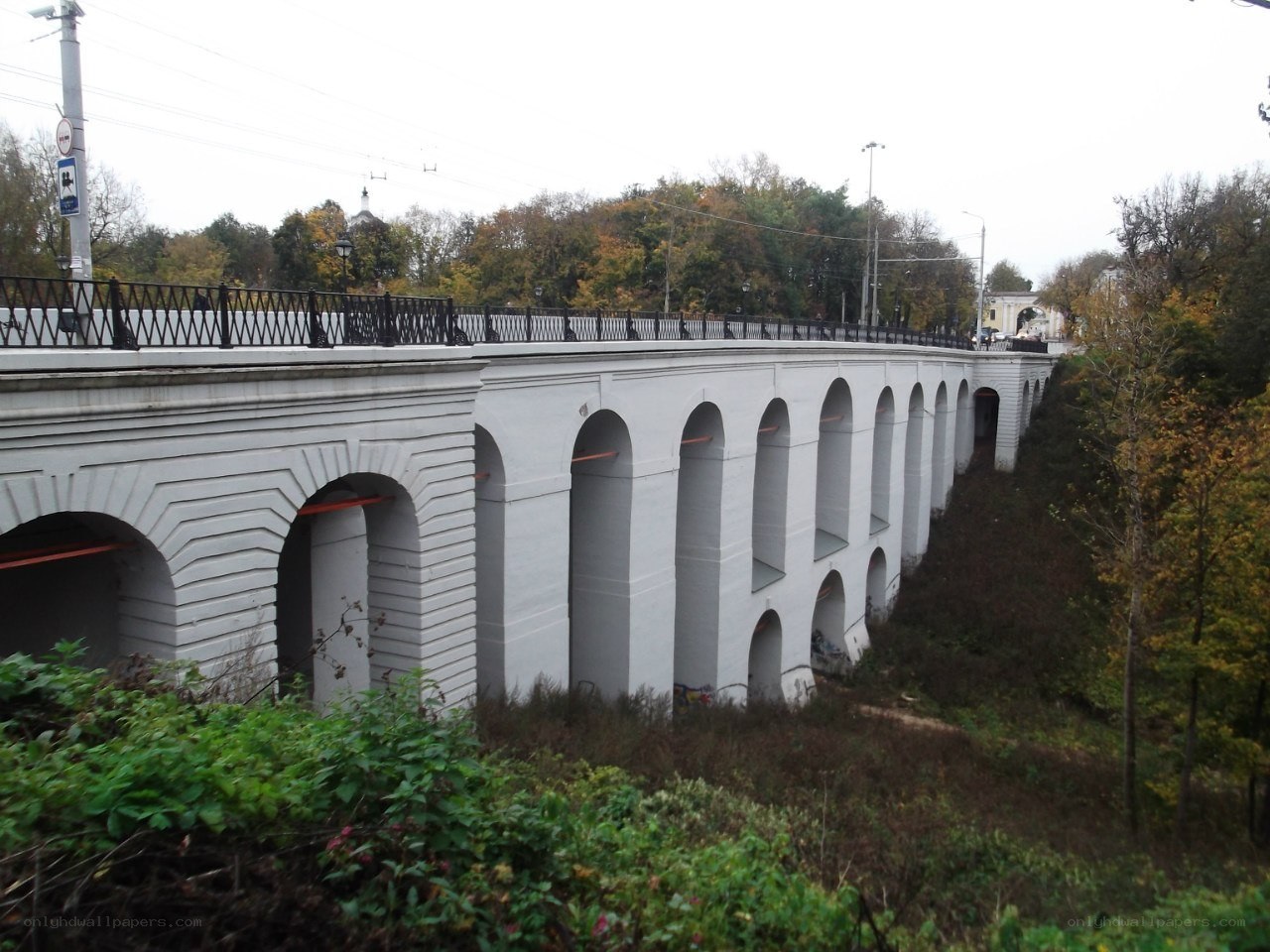 white arched bridge in autumn