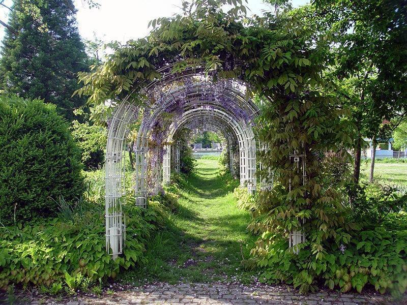 White Arched Trellis