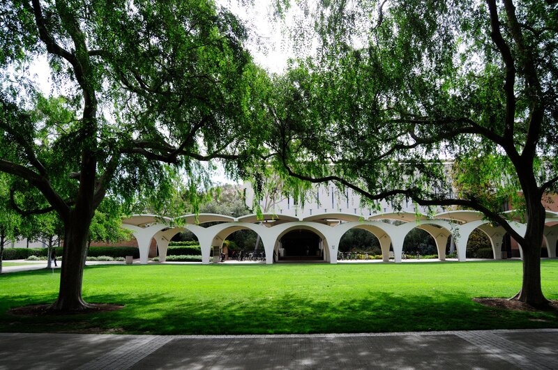 White Arches on Campus