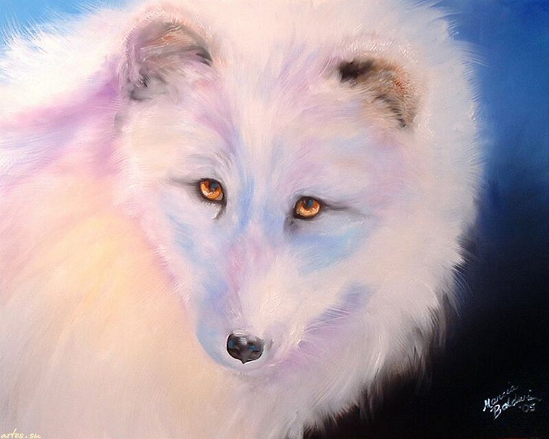 White Arctic Fox — Serene
