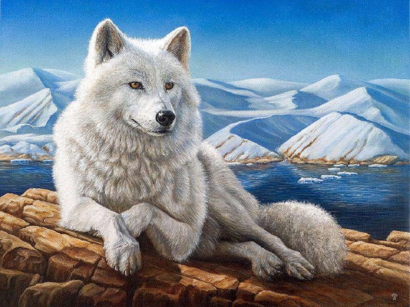 White Arctic Wolf — Serene, Winter, Painting