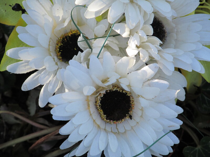 White Artificial Daisies