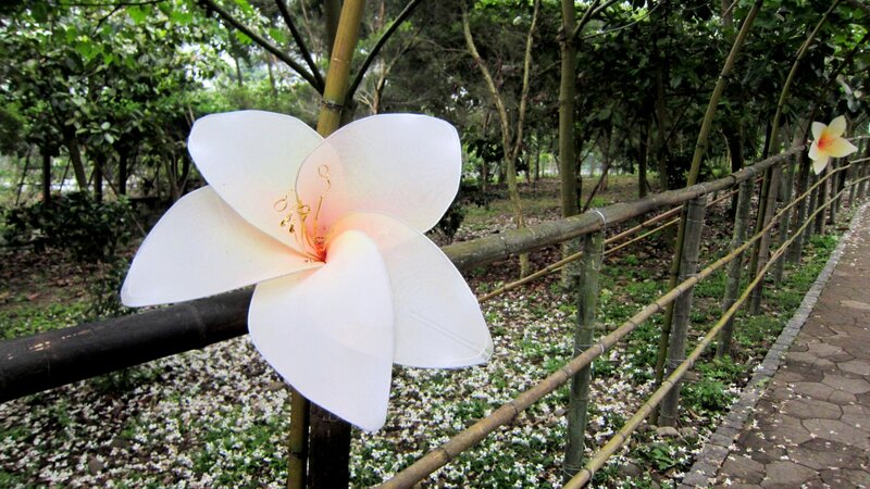 White Artificial Flower — Serene