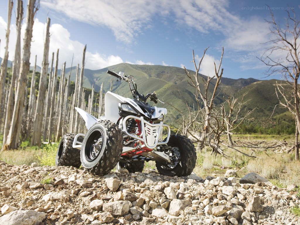 White ATV on rocky terrain