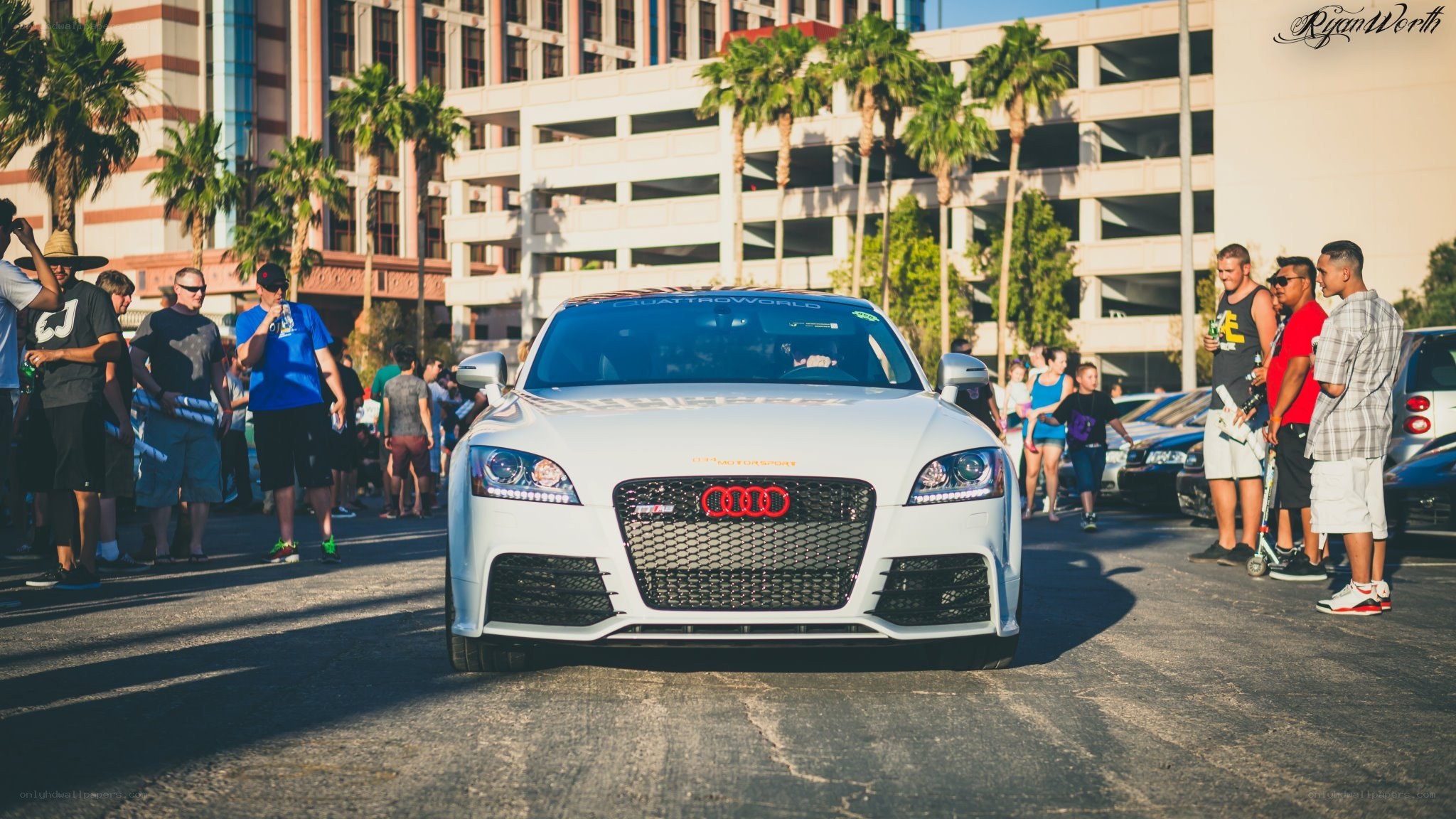 White Audi at car show