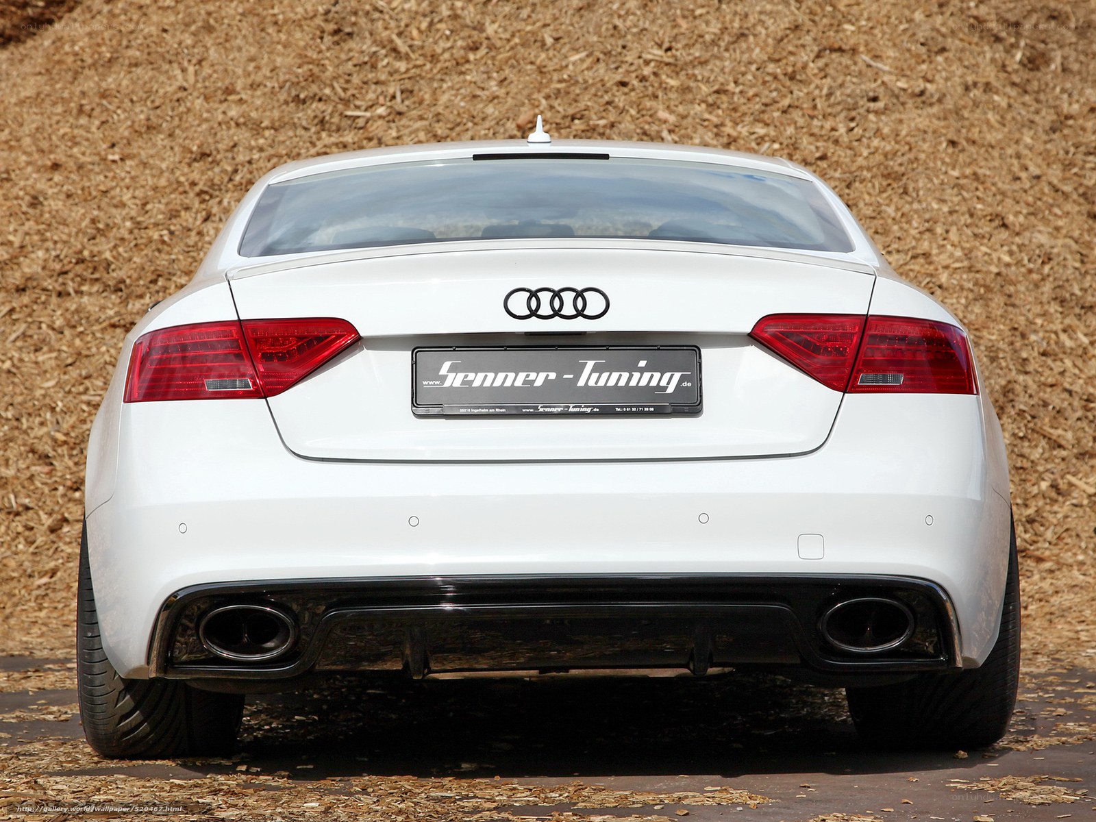 white audi car rear view