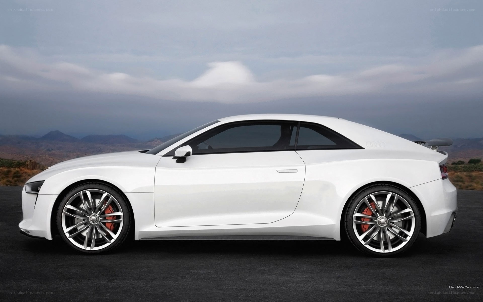 white audi concept car