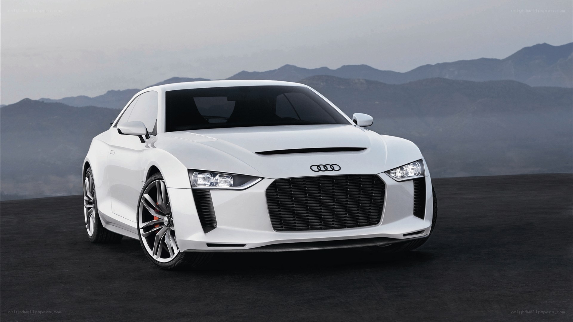 White Audi concept car