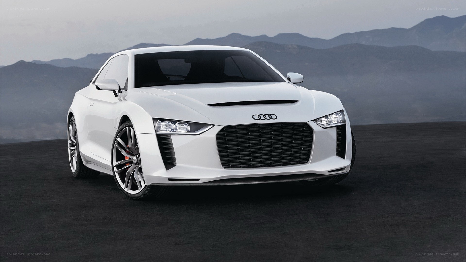 White Audi concept car