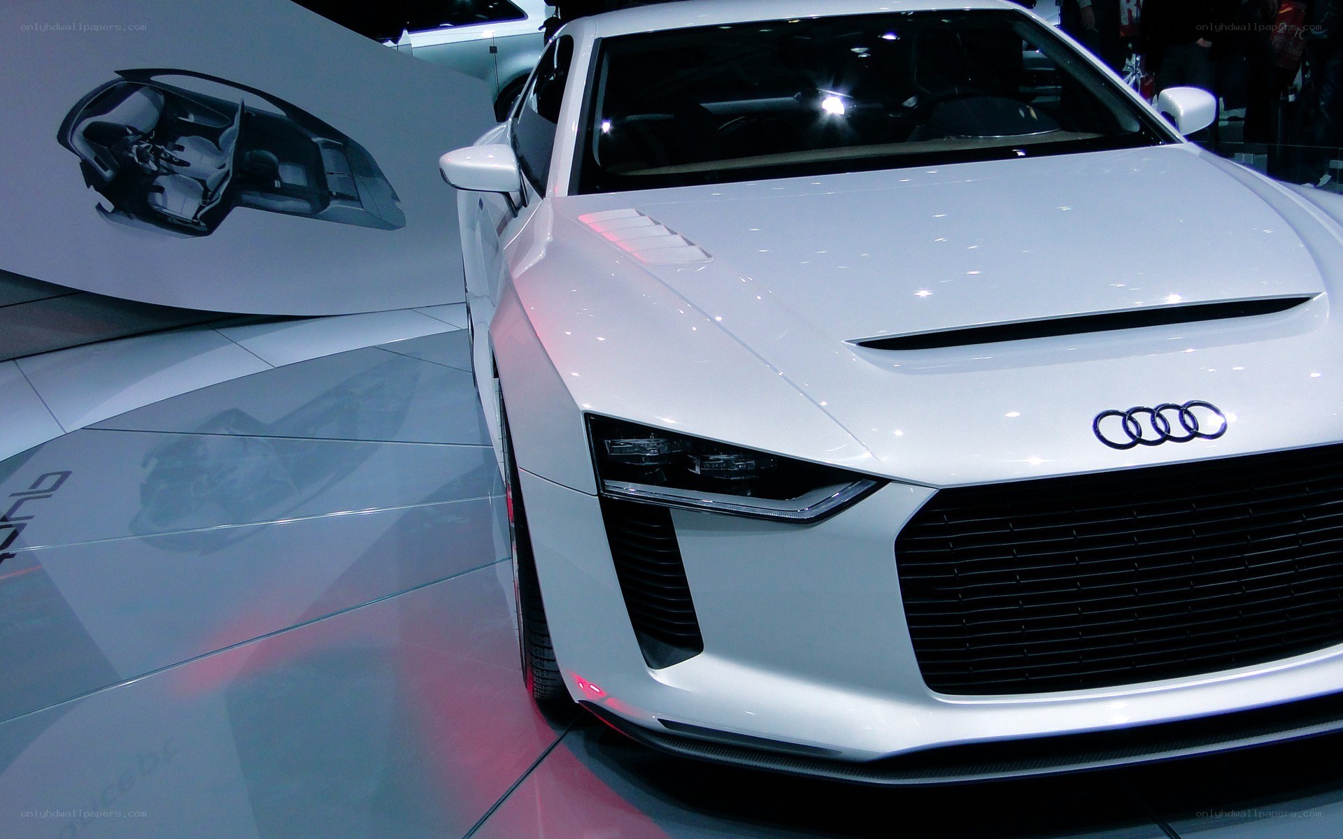 White Audi concept car