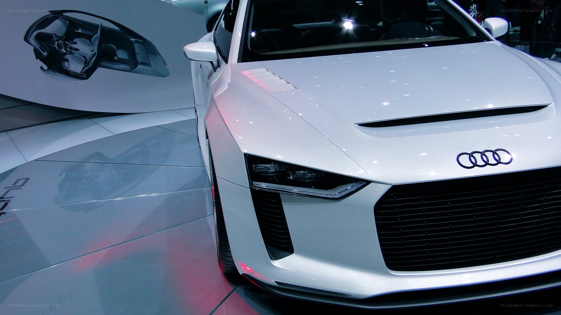 White Audi concept car on display