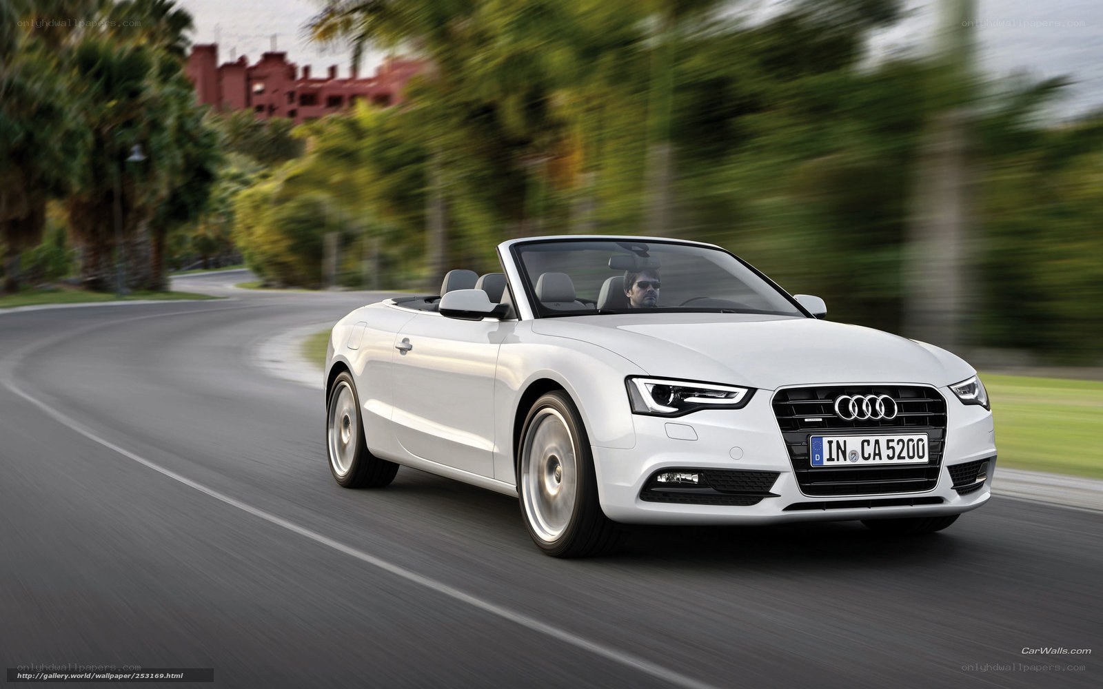 White Audi convertible on road
