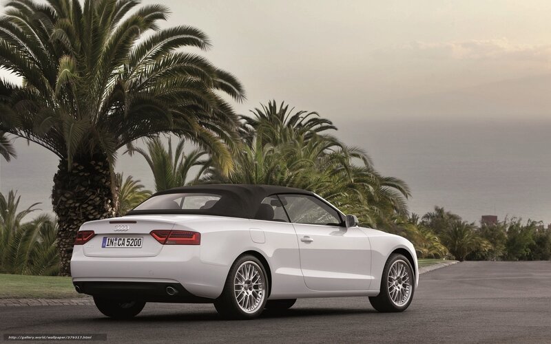 White Audi Convertible — Serene, Afternoon