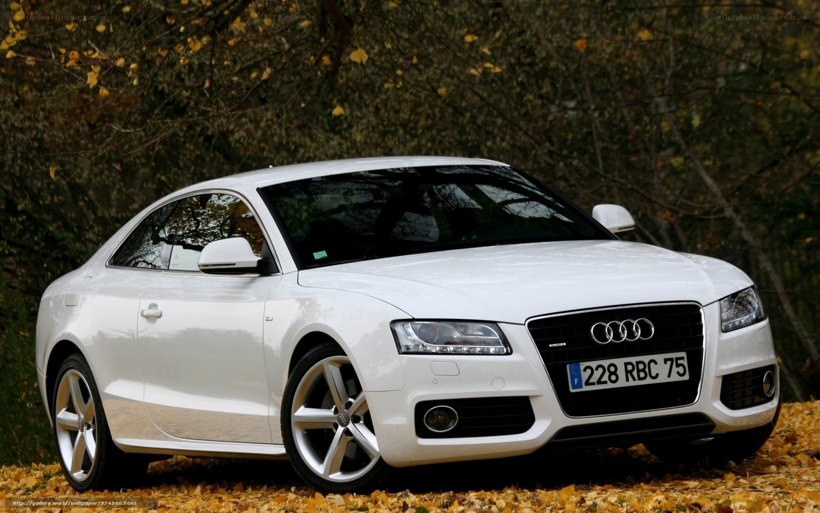 White Audi coupe in autumn