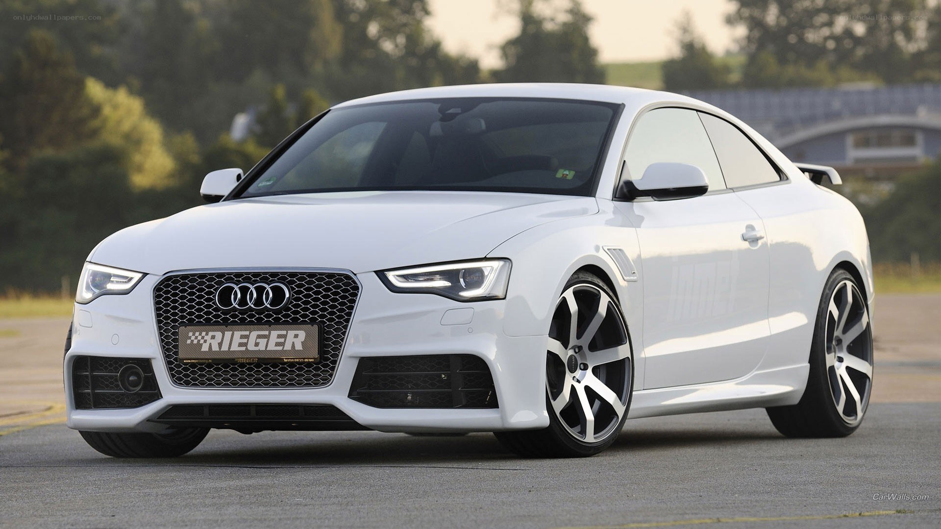 white audi coupe on track
