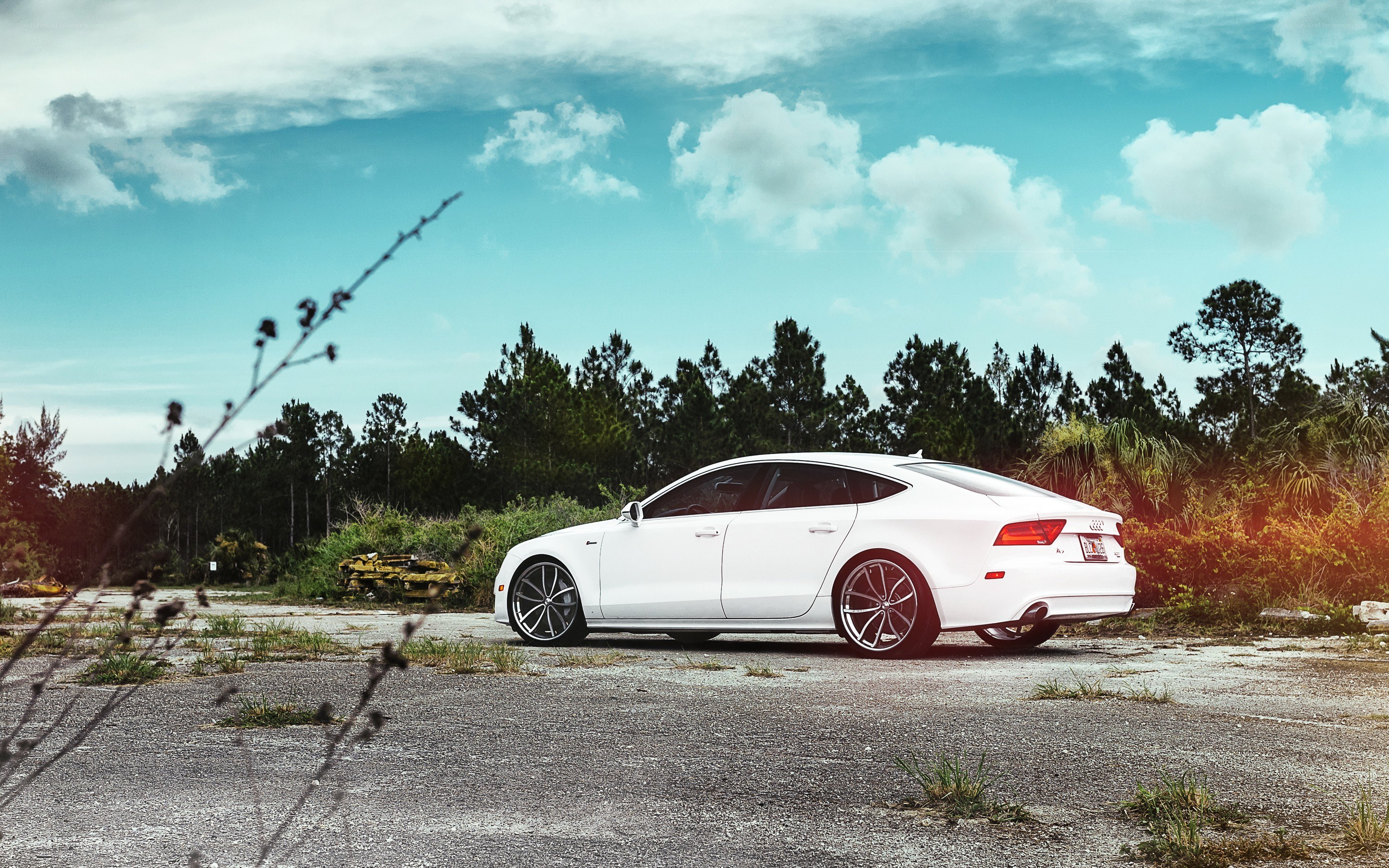 white audi in a field