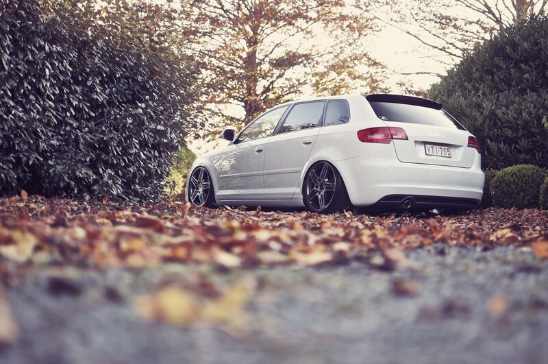 White Audi in autumn leaves