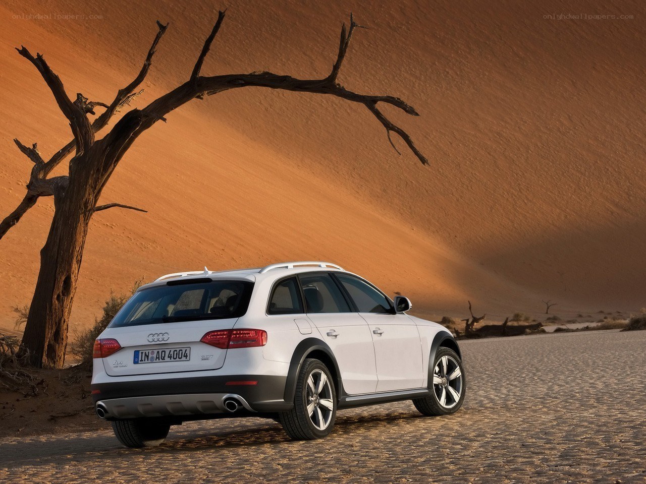 White Audi in desert landscape