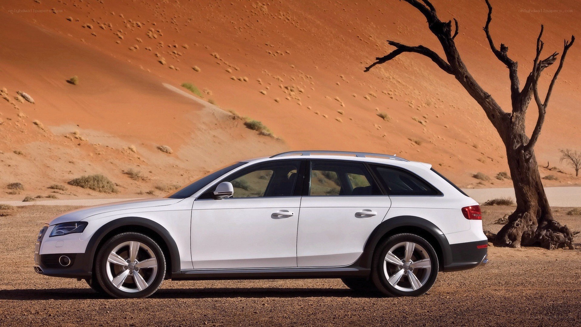 White Audi in desert landscape