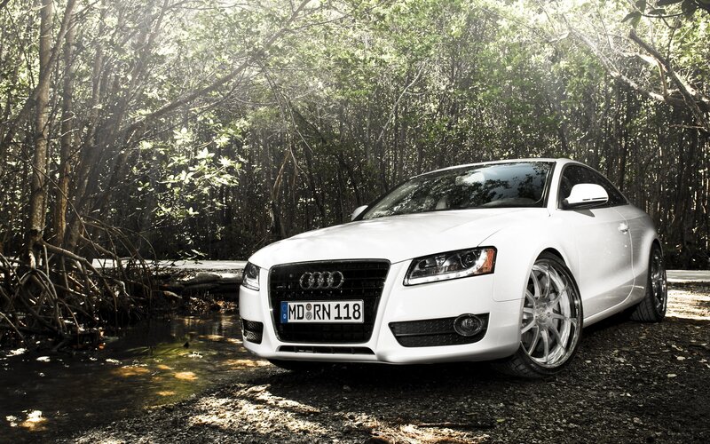 White Audi in forest setting