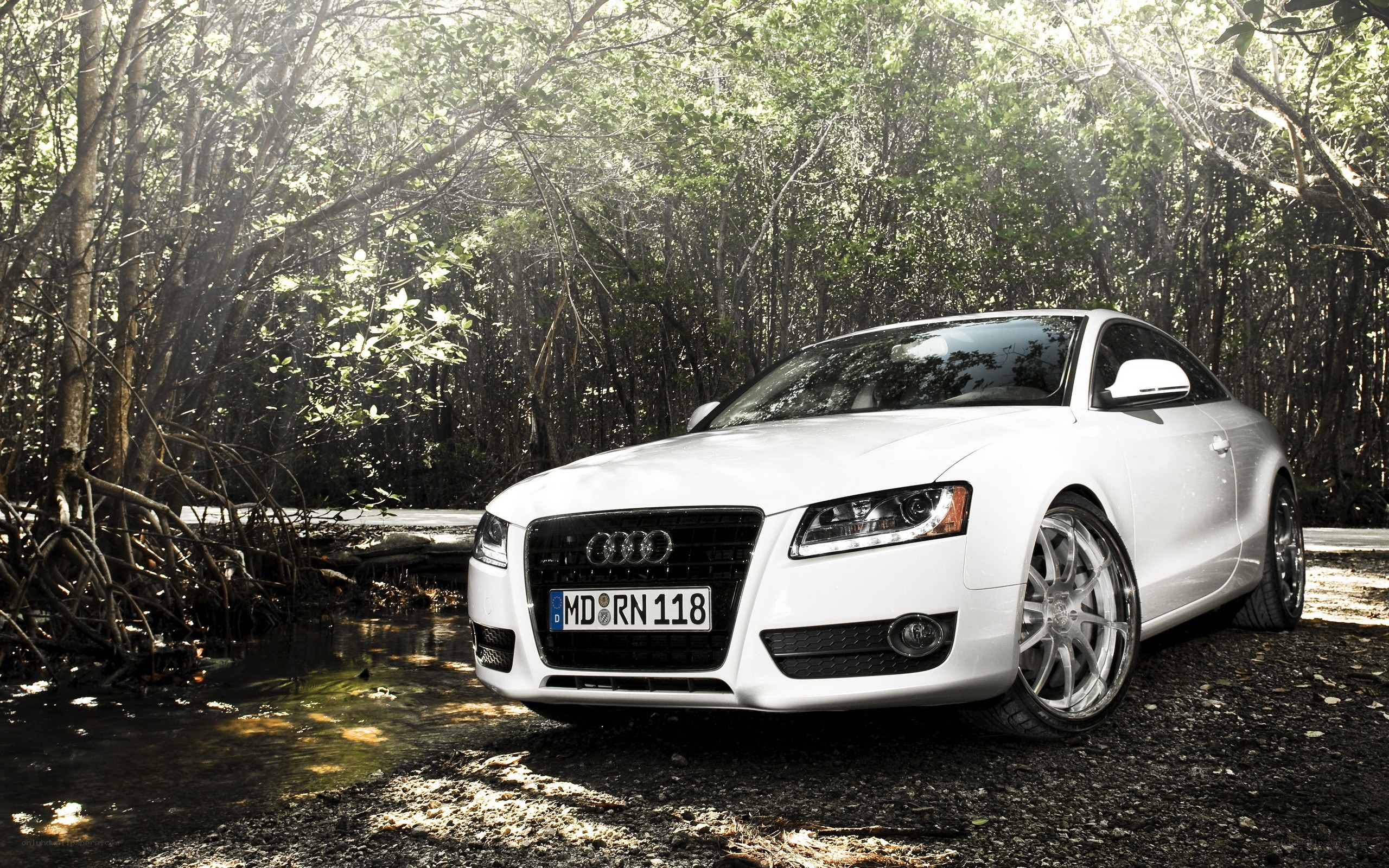 White Audi in forest setting