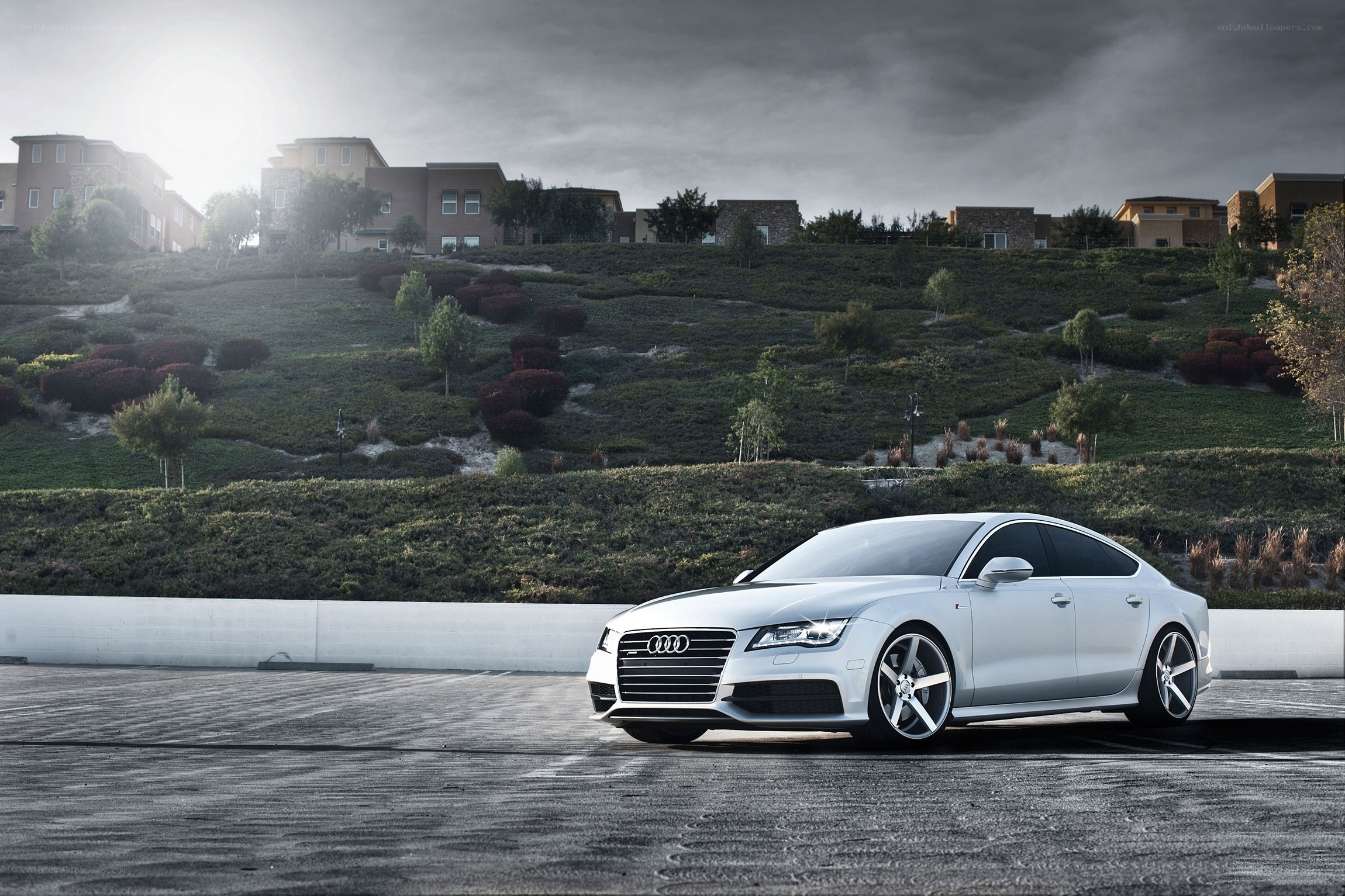 White Audi on a hillside